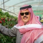 أمير حائل يدشّن أول إنتاج للفراولة البيضاء في المملكة ويطلق الموسم السابع لحديقة فراولة حائل