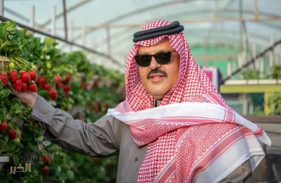 أمير حائل يدشّن أول إنتاج للفراولة البيضاء في المملكة ويطلق الموسم السابع لحديقة فراولة حائل