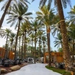 القصيم.. واحة الهدوء والتراث ووجهة مثالية للعائلات