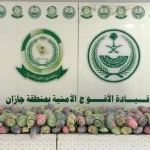 دوريات الأفواج الأمنية بمنطقة جازان تقبض على شخص لترويجه 133كلجم من القات المخدر
