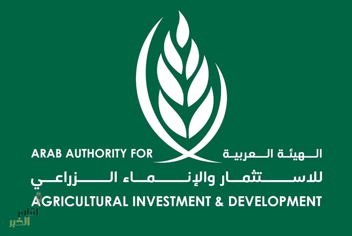 خبراء ومنظمات دولية يبحثون المبادرات العربية لتعزيز مستقبل الأمن الغذائي