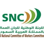 اللجنة الوطنية تطلق قريبًا برنامجًا توعويًا للسلامة الصحية في بيئة العمل