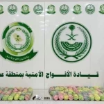 دوريات الأفواج الأمنية بمنطقة عسير تقبض على شخص لترويجه 21 كلجم من القات المخدر