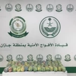دوريات الأفواج الأمنية بمنطقة جازان تقبض على شخص لترويجه 25 كلجم من القات المخدر