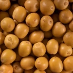 تمور الرياض تُزيّن موائد رمضان وتُعزّز القيمة الغذائية للمستهلكين