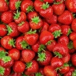 تدشين موسم الفراولة السعودي لتعزيز جودة المنتج المحلي