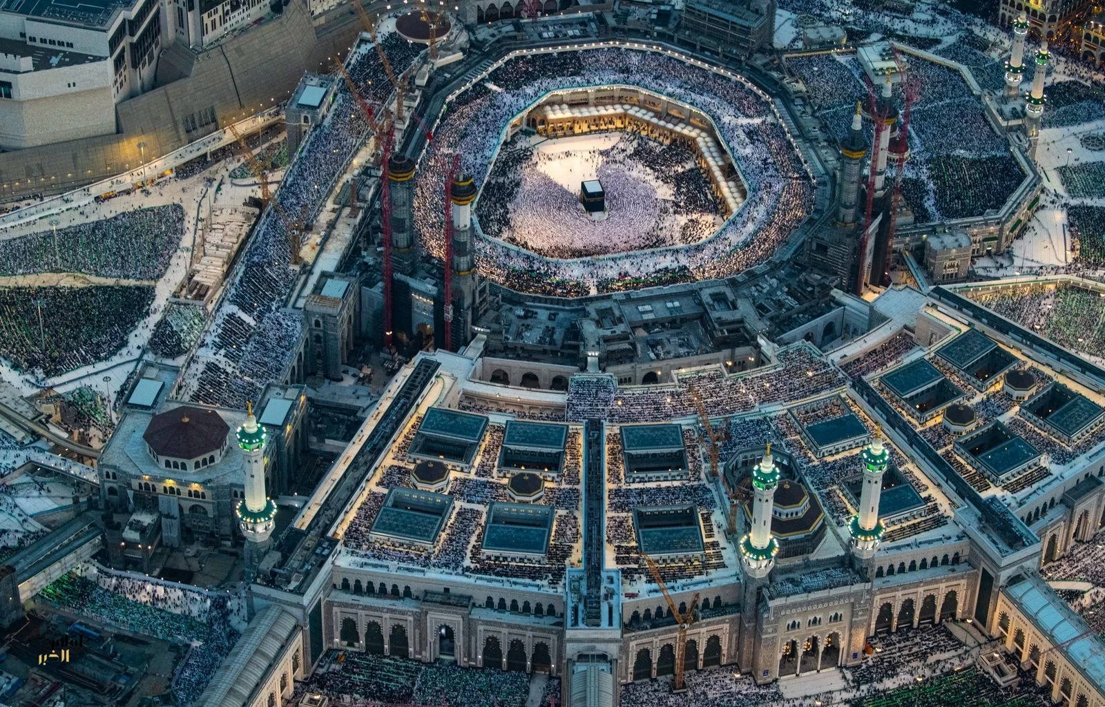 العمرة لكبار السن.. تجربة منظمة بتخطيط مسبق