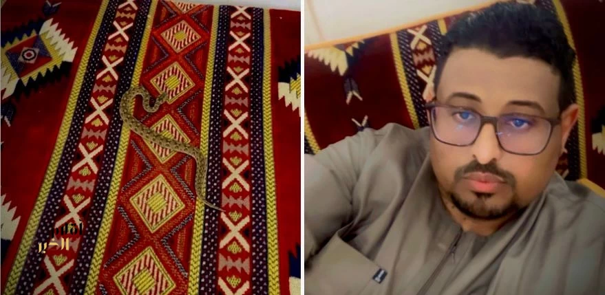 الإعلامي "أحمد الخبراني" ينجو من موقف مرعب بعد العثور على ثعبان تحت مسندة كرسي في منزله