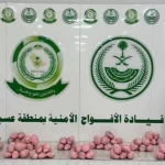 دوريات الأفواج الأمنية بمنطقة عسير تقبض على شخص لترويجه 13كلجم من القات المخدر