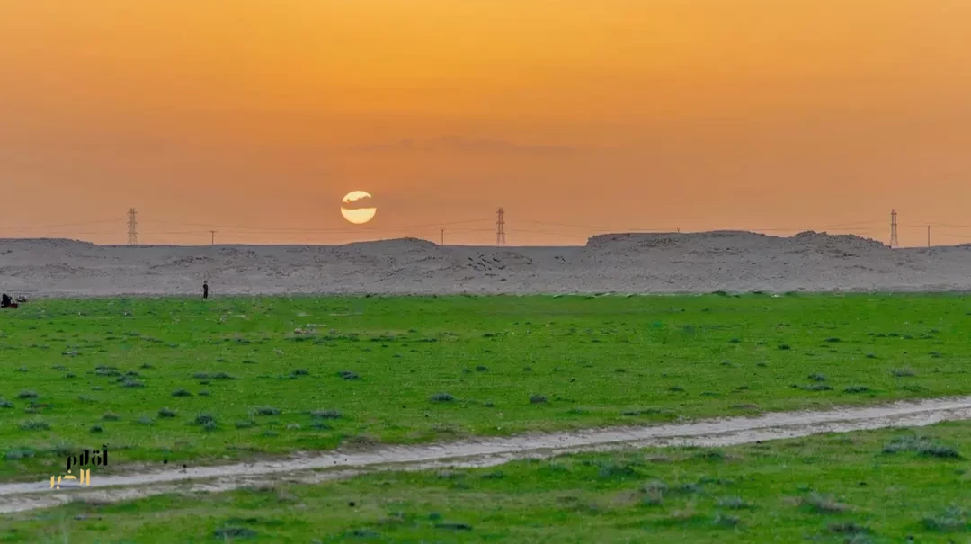 الغطاء النباتي يكسو مراعي "نواظر" في منطقة الحدود الشمالية ويجذب مربي الماشية