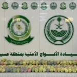 دوريات الأفواج الأمنية بمنطقة عسير تقبض على شخص لترويجه 39 كلجم من القات المخدر