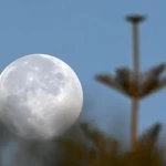 "بدر الفراشة" يزيّن سماء المملكة