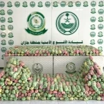 دوريات الأفواج الأمنية بمنطقة جازان تُحبط تهريب 522 كلجم من القات المخدر