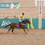 فروسية حائل تنظم الحفل الختامي لمهرجان الأمير عبدالعزيز بن سعد لسباقات الخيل