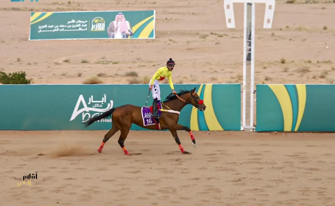 فروسية حائل تنظم الحفل الختامي لمهرجان الأمير عبدالعزيز بن سعد لسباقات الخيل
