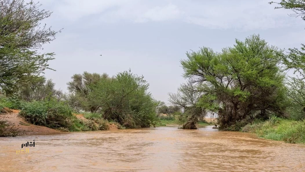 أمطار الخير ترسم مشاهد طبيعية ريفية في أودية وشعاب الأسياح شمال شرق القصيم