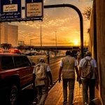 لقطة اليوم