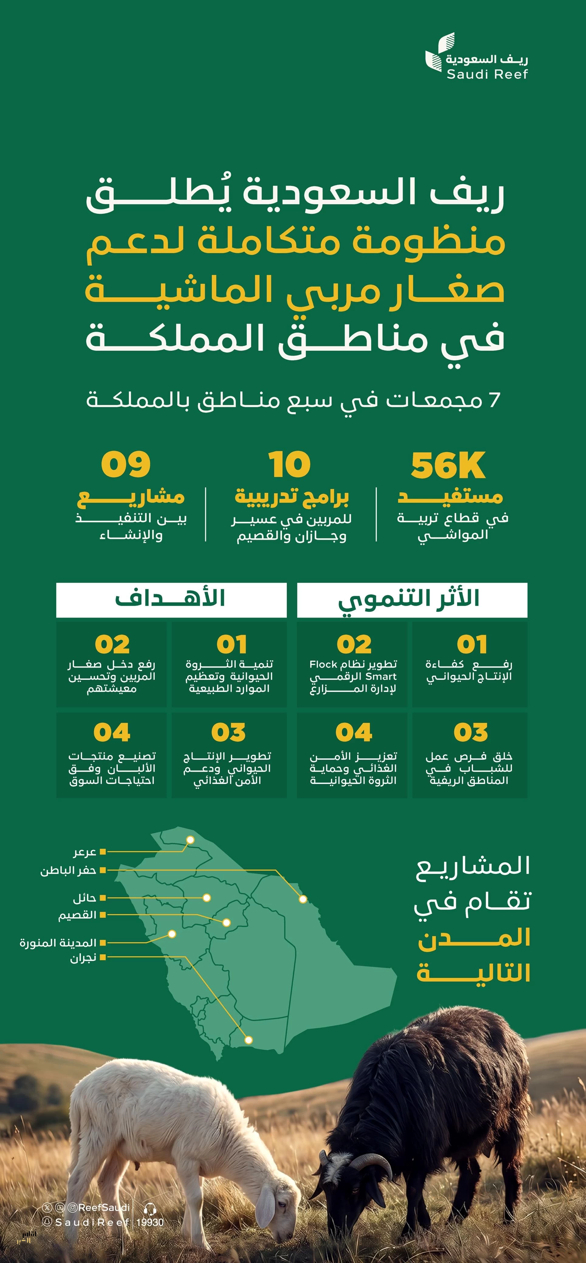 "ريف السعودية" ينفّذ 7 مجمعات نموذجية للإنتاج الحيواني لتطوير قطاع تربية المواشي في عددٍ من المناطق