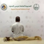حرس الحدود بالمدينة المنورة يضبط مخالفًا للائحة الأمن والسلامة البحرية