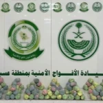 قبضة أمنية تُسقط مهربَيْ قات في الفرشة بعسير