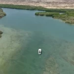71 غابة في جازان.. تنوع بيئي وثروة طبيعية تعزز السياحة