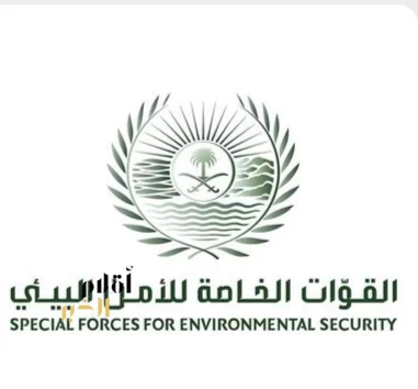 "الأمن البيئي" يضبط مقيمًا لتلويثه البيئة بتفريغ مواد خرسانية في منطقة عسير