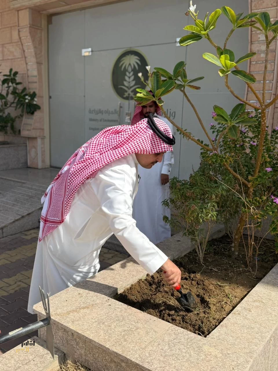 مكتب وزارة البيئة والمياه والزراعة ينفّذ مبادرة تهيئة أحواض مكتب وزارة البيئة بالعاصمة المقدسة 