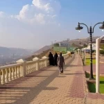 حديقة الأمير فيصل بن محمد ببني كبير تستقطب زوار الباحة