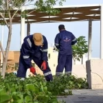 أمانة الشرقية تؤهل أكثر من 334 ألف م2 من المسطحات الخضراء وترفع جاهزية 77 ملعبًا للأطفال
