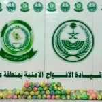 دوريات الأفواج الأمنية بمنطقة عسير تقبض على شخص لترويجه 26 كلجم من القات المخدر