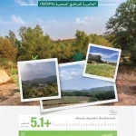 "الغطاء النباتي": تسجيل 26 متنزهًا وطنيًا بمساحة 5 آلاف كيلو متر مربع في السِّجل الوطني للمناطق المحمية