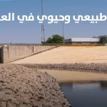أمانة الرياض تعلن تأهيل وإعادة فتح مجرى وادي السلي الممتد من شمال إلى جنوب العاصمة بطول 110 كم بعد عقود من انقطاع جريانه