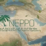 مركز "وقاء" ينظم في الرياض اجتماعًا إقليميًا وآخر دوليًا لدفع العمل والتعاون الإقليمي والدولي المشترك في مجال وقاية النباتات