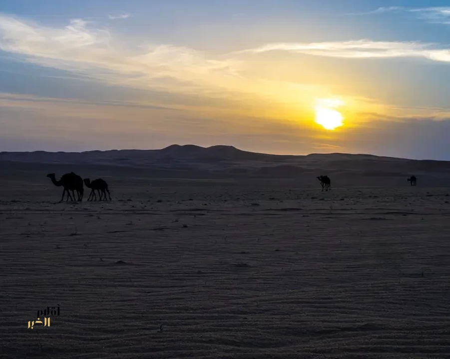جماليات الغروب في نجران.. مشهد تتمازج فيه روعة الطبيعة وأصالة التراث