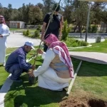 زراعة أكثر من مليون شجرة في مدينة الباحة والمحافظات التابعة لها