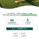 الهيئة العامة للأمن الغذائي تطرح المناقصة السادسة لهذا العام لاستيراد 300 ألف طن قمح