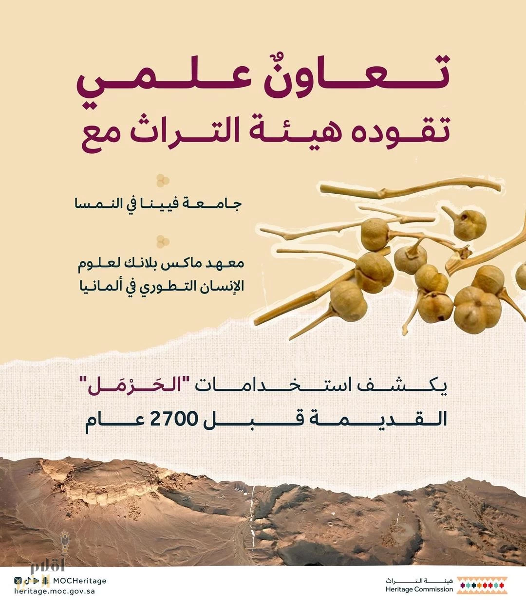 هيئة التراث تكشف عن أقدم استخدام لـ "الحَرْمَل" قبل 2700 عام