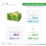 "الإحصاء": إيرادات القطاع غير الربحي ترتفع إلى 73.1 مليار ريال بنسبة نمو 22% خلال عام 2024