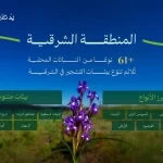 البرنامج الوطني للتشجير: انتشار واسع لأكثر من (61) نوعًا من النباتات المحلية في بيئات الشرقية