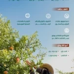 "البيئة" تُدشّن "أسبوع الرُّمان السعودي" لدعم وتعزيز القيمة الغذائية والتسويقية للفواكه المحلية