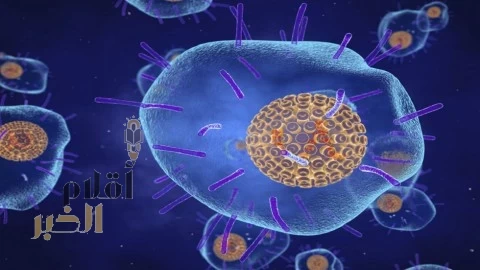 غانا تسجّل أول وفاة بفيروس "إمبوكس" وسط تفشٍ متسارع في غرب أفريقيا