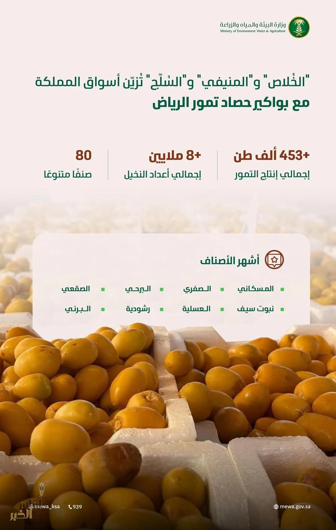 الرياض تُعزّز إنتاج المملكة من التمور.. والأسواق تستقبل بواكيرها