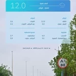 "البيئة" ترصد هطول أمطار في 5 مناطق تتصدرها الرياض بكميات 12 ملم في شقراء