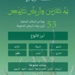 البرنامج الوطني للتشجير: الطلح والسدر والسَّلَم أبرز أنواع النباتات المحلية الملائمة للتشجير في الرياض