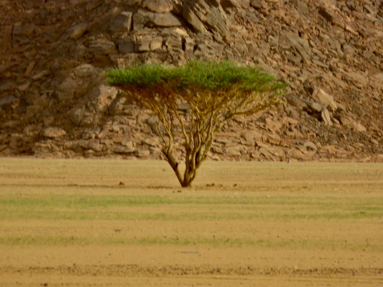 0C934998-A351-40D2-8632-31F89229E242