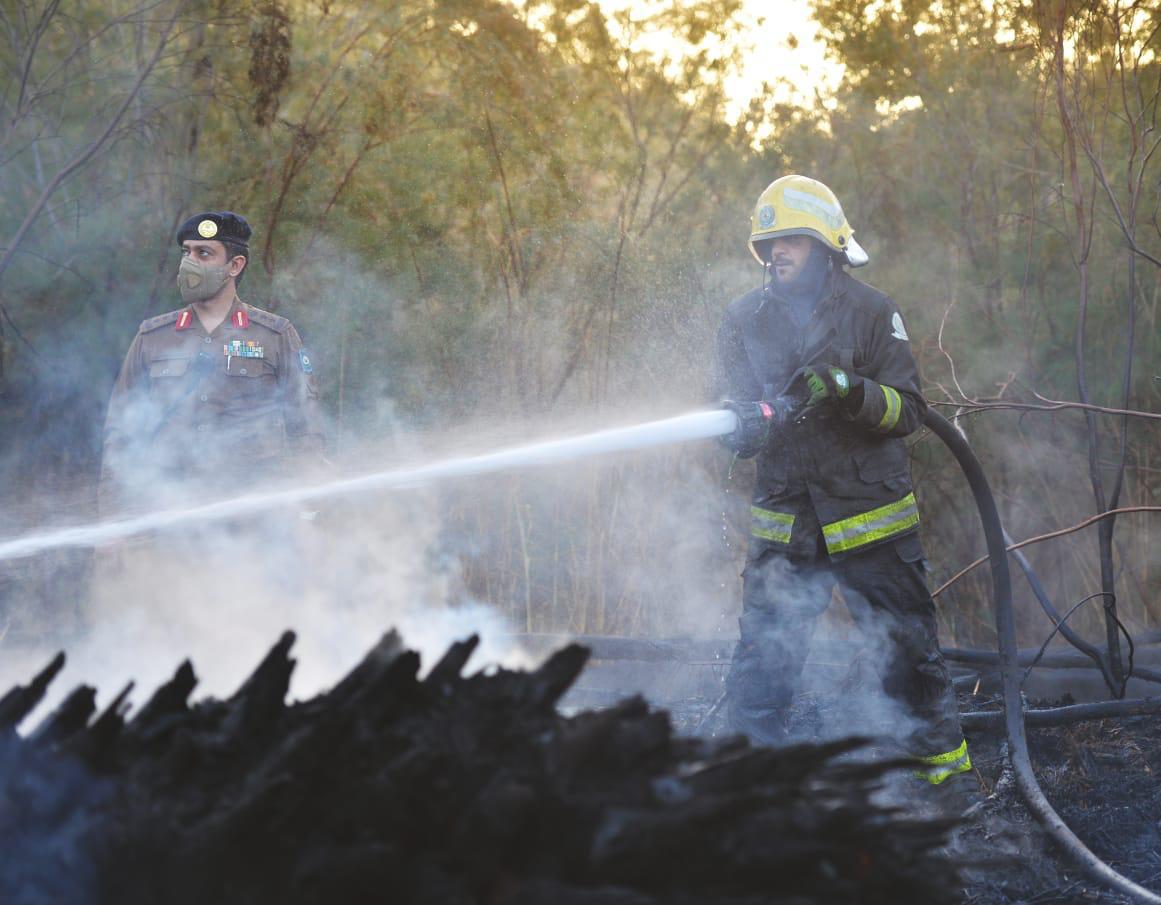 222FAF8A-F0EA-40C3-86BC-45701FC87983