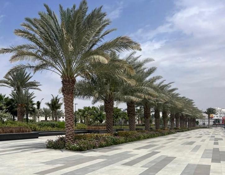 339C11FF-BA88-437C-8046-162819607006