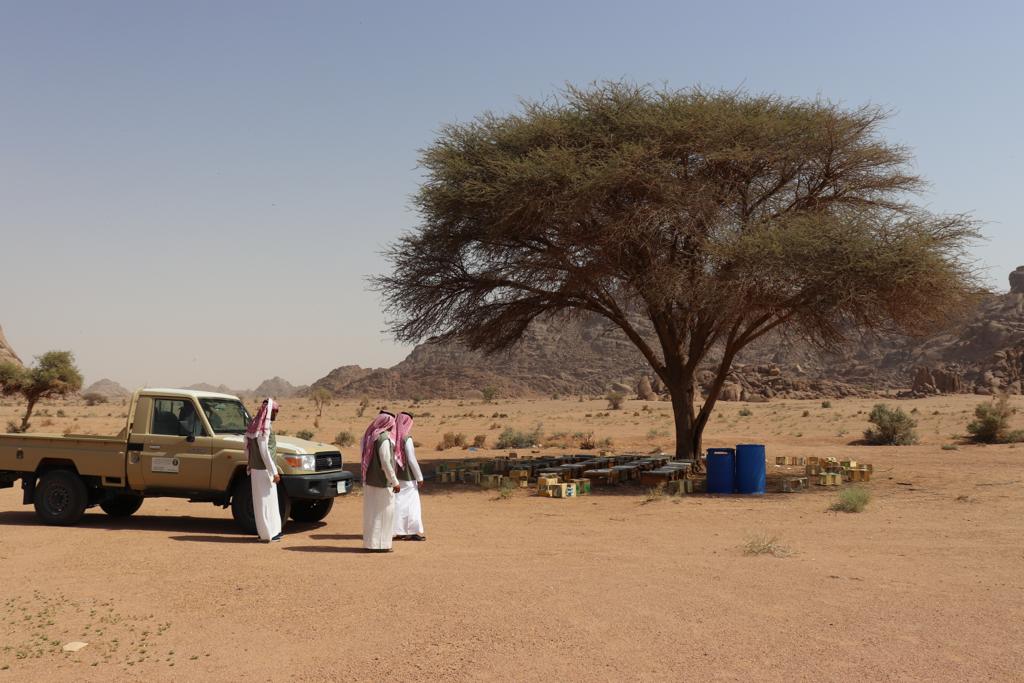 5995E3B2-BB47-4D8E-AA34-0EB6B3EF0312