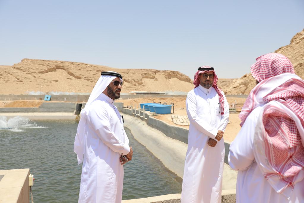 86E85BDB-87BC-49B4-80D2-C95006206719