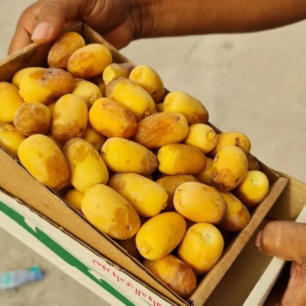 8947E31F-339B-49F5-8586-3D250544DB30